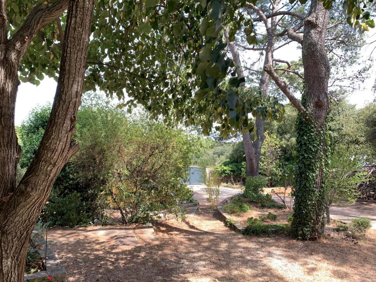Villa Mazet Proche Golf Nîmes Esterno foto