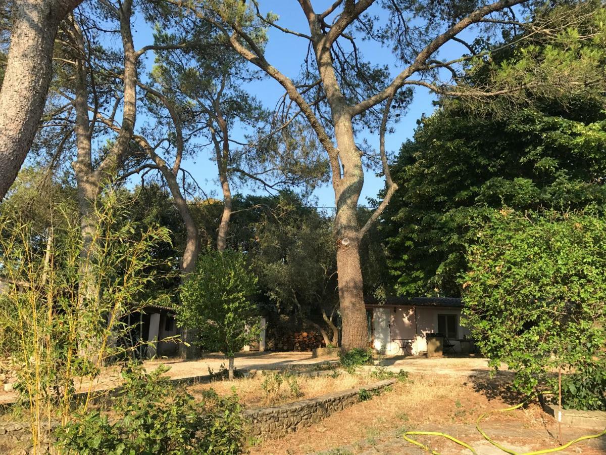 Villa Mazet Proche Golf Nîmes Esterno foto